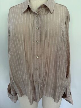 Women’s Modern Works Sheer Sparkle Blouse Neutral Size L NWT Beautiful